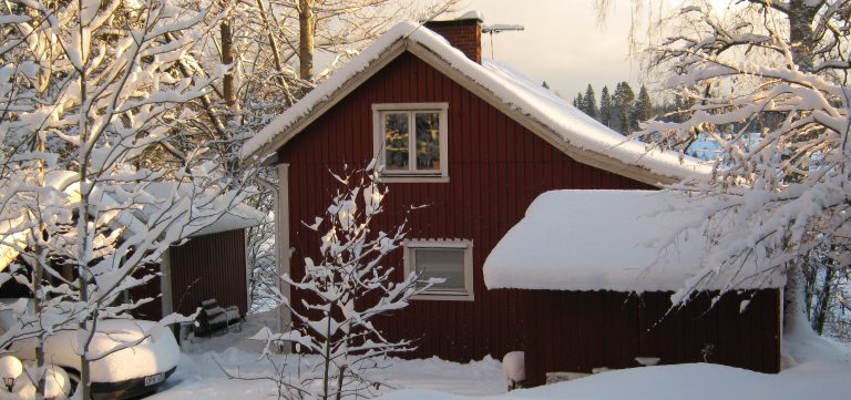 winter